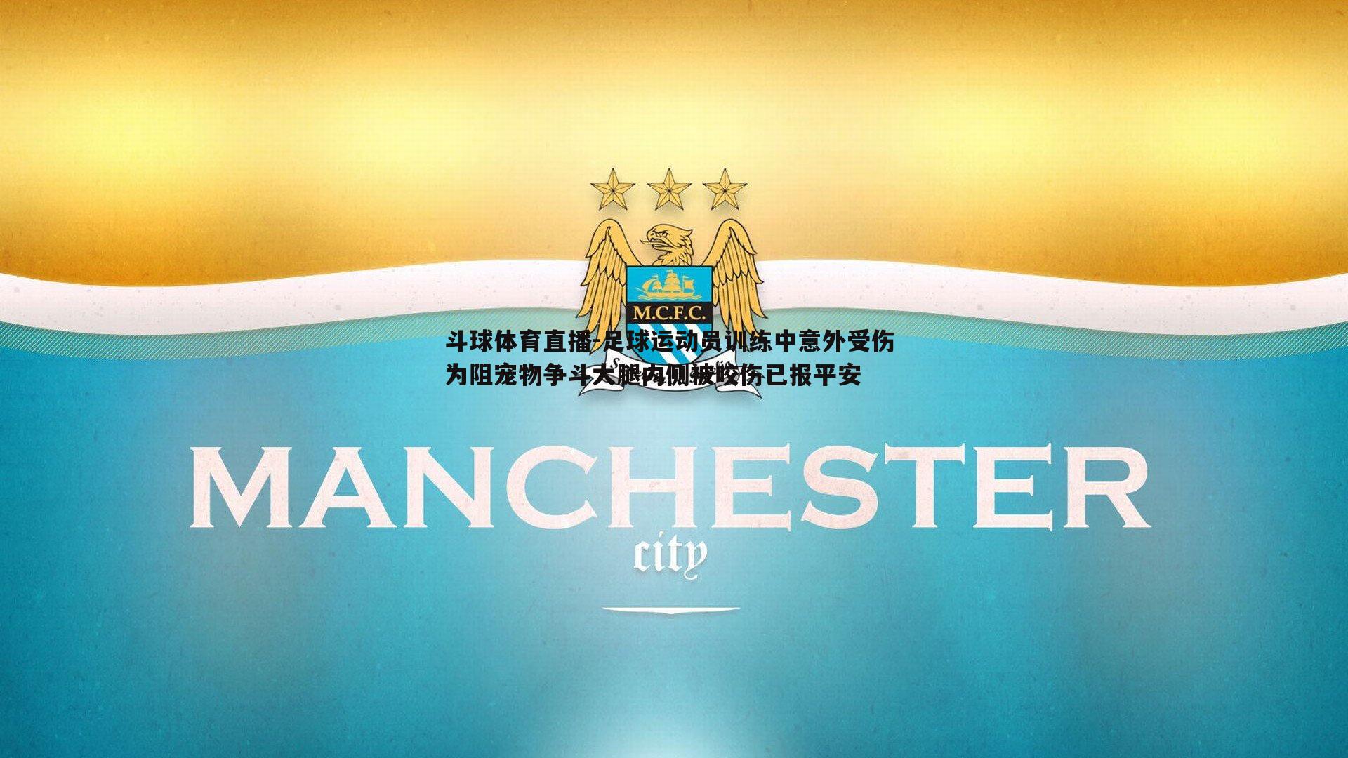足球运动员训练中意外受伤 为阻宠物争斗大腿内侧被咬伤已报平安